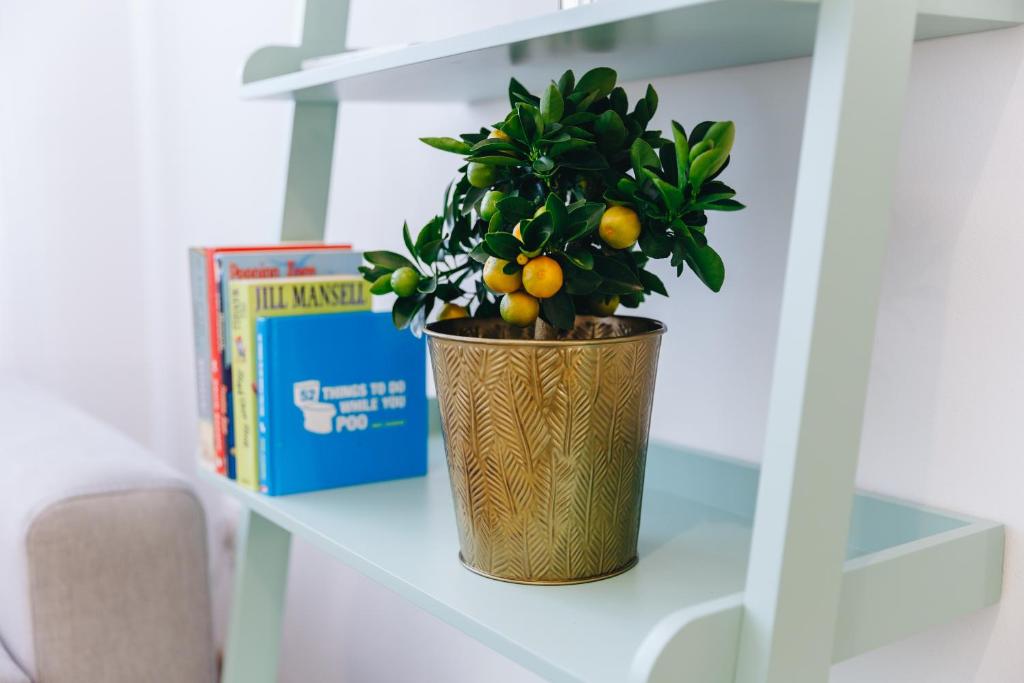 Chill apartments - 16