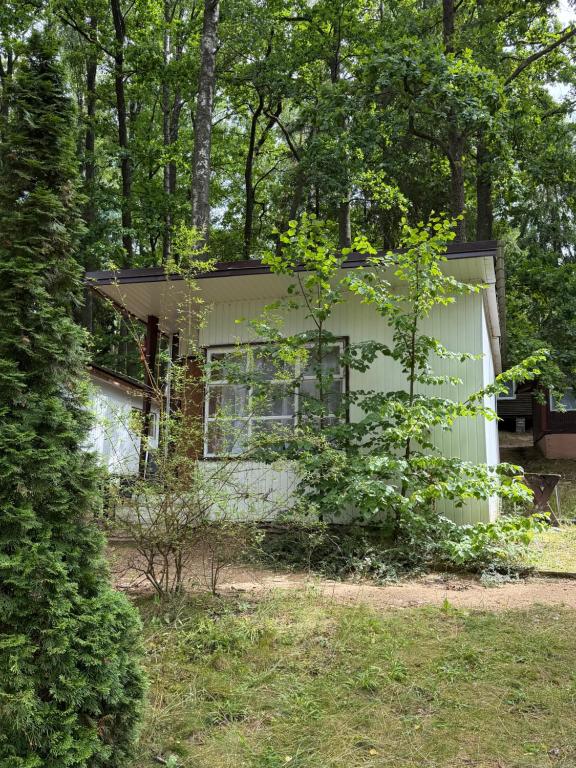 Nova Mazury - One-Bedroom Chalet