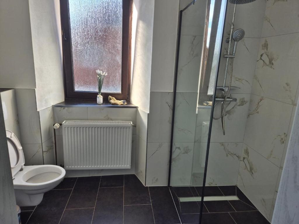 a bathroom with a toilet and a glass shower at MemaFerienwohnung in Gerolstein