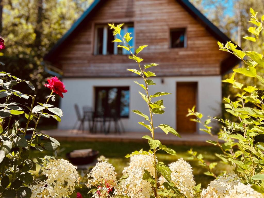 a house in the background with flowers in the foreground at Chalupa u Lacinů in Mirošovice