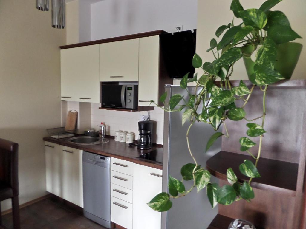 una cocina con armarios blancos y una planta en Apartamenty Silver Premium, en Varsovia