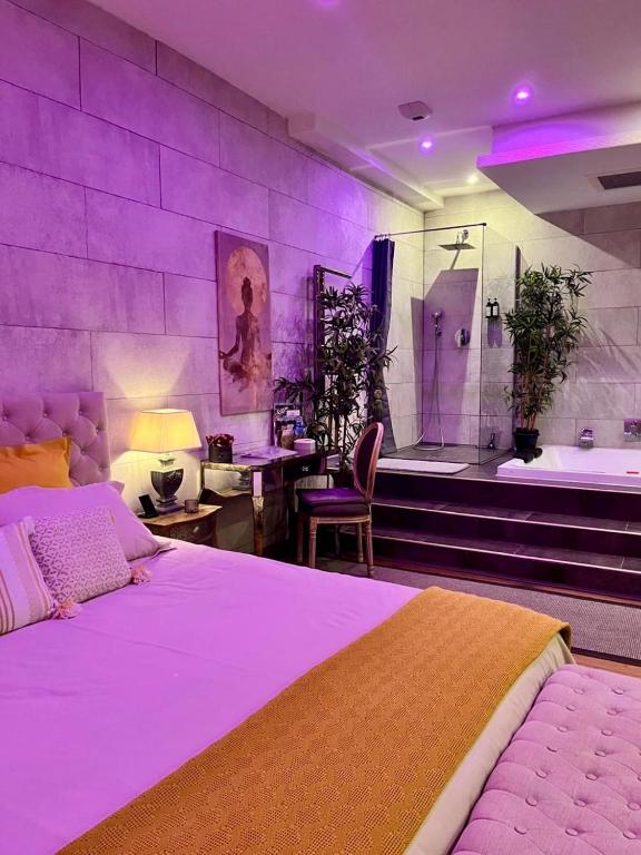 a bedroom with a large bed and a bath tub at LOFT & SPA PRIVATIF in Dijon