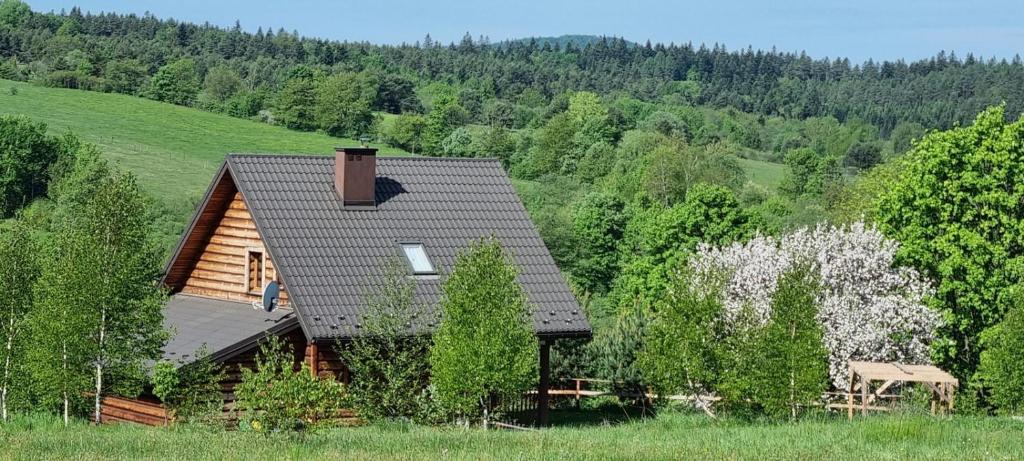 Gallery image of Domek w górach z jacuzzi in Nowica
