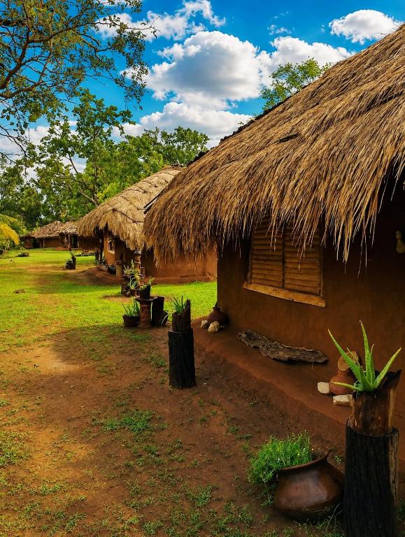 a group of huts with a straw roof at Nature Kingdom Sri Lanka in Hambegamuwa