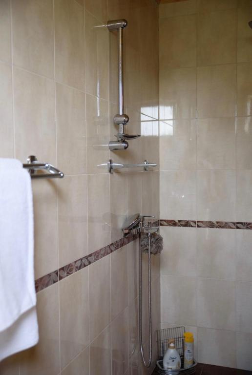 a shower with a glass door in a bathroom at Вила Чочита in Trapeskovtsi