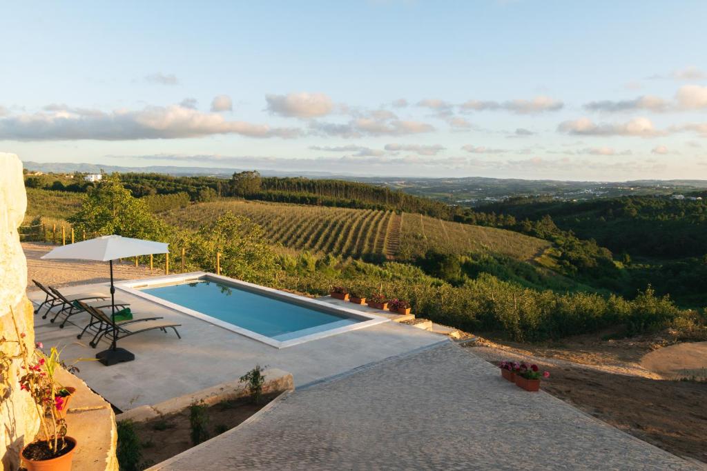 a swimming pool with a view of a vineyard at Eira das Maçãs - Óbidos 