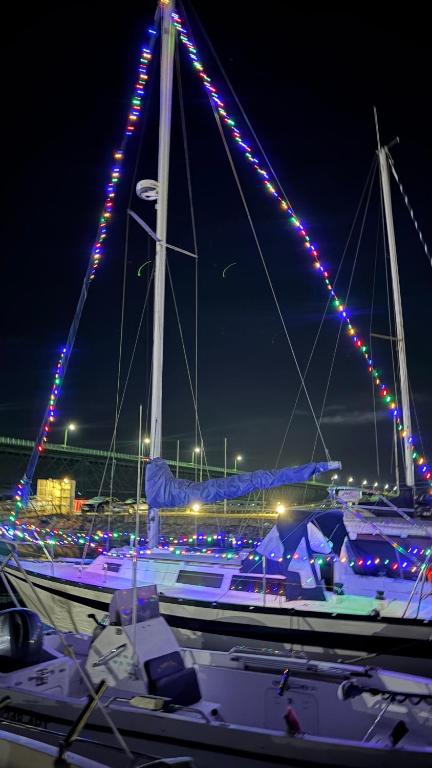 a boat docked at a marina with christmas lights at Viana Sealife in Viana do Castelo