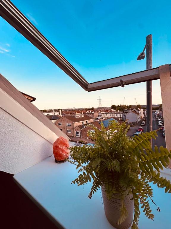 a plant on a window sill with a view of a city at EazyStay in Avonmouth