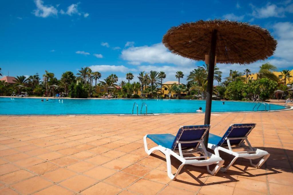 two chairs and an umbrella in front of a pool at NEW CASA BLU - Oasis Tamarindo 1 in Corralejo