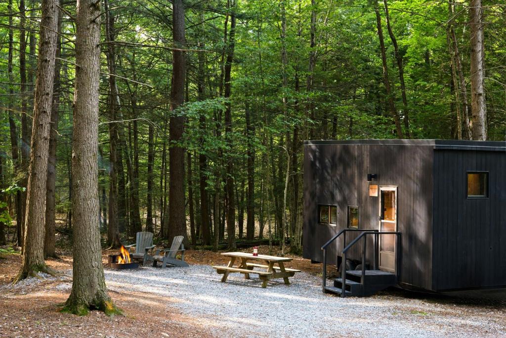 a small black cabin in the woods with a picnic table and a picnic bench at Postcard Cabins Beaver Creek Ohio, Outdoor Collection by Marriott Bonvoy in Lisbon