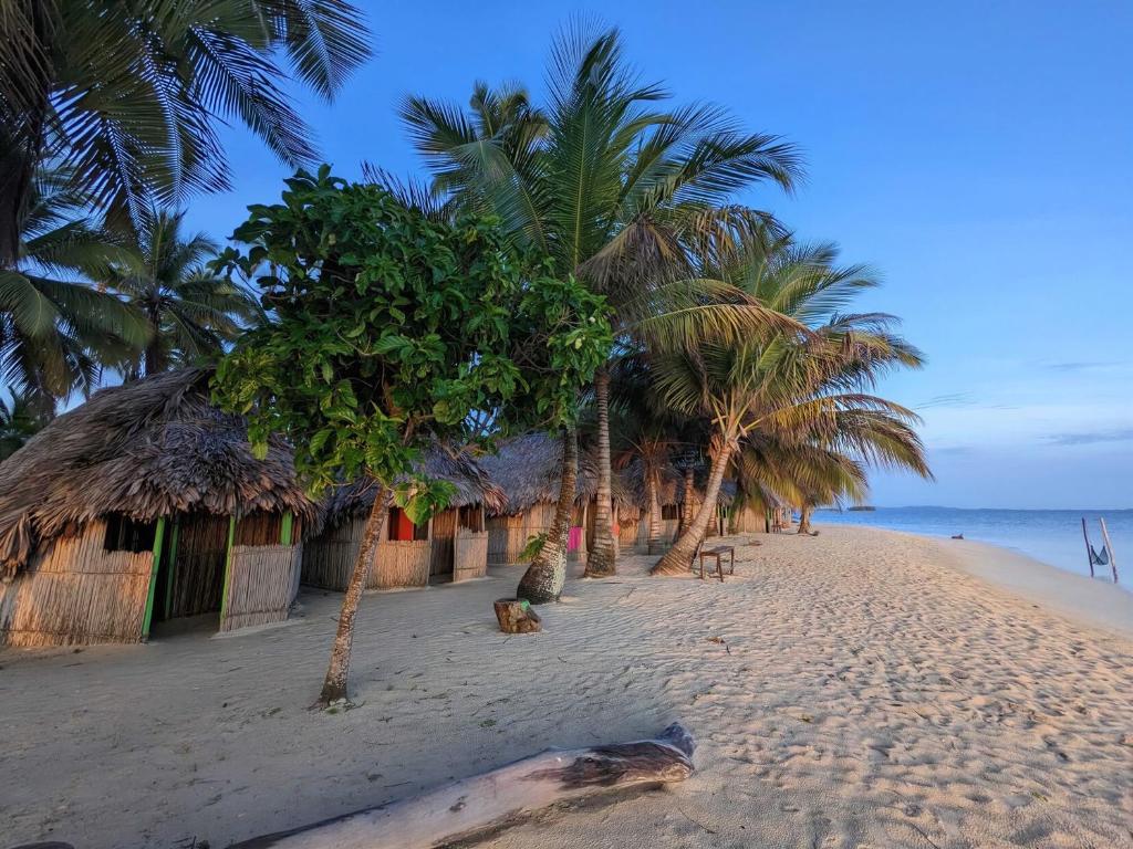a sandy beach with palm trees and huts on it at Arriyaladub traditional cabins San blas in Masargantupo