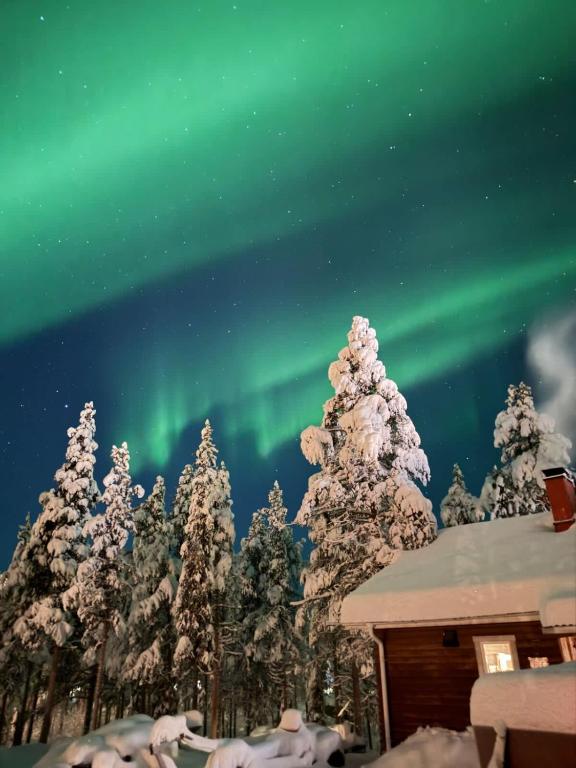 an aurora shines in the sky over a snow covered forest at Ditt andra hem in Kiruna