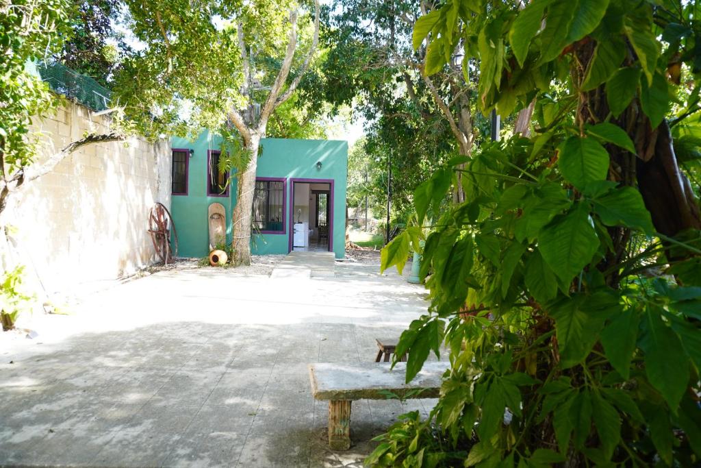 a bench in front of a building with a dog sitting on it at Pequeño Refugio in Ticul