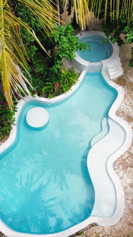 a swimming pool in the middle of a garden at Paje By Night Bungalows in Paje