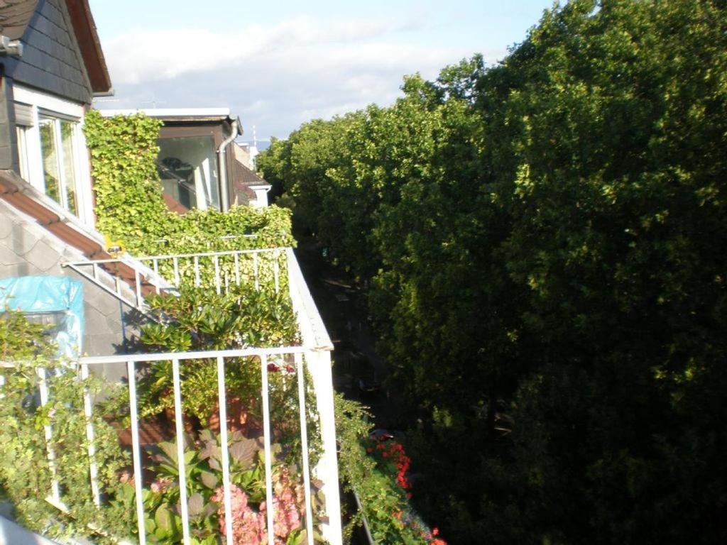 City-Dachapartment Mainz - 