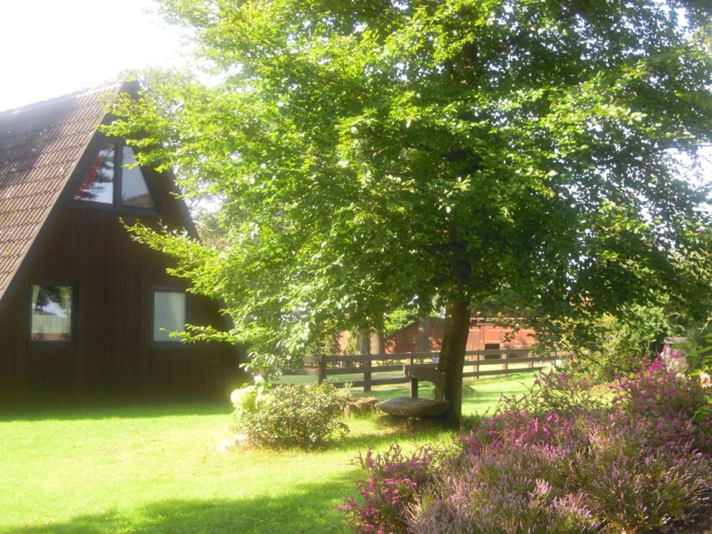 Zahrada ubytování Eitzmanns Ferienhauser