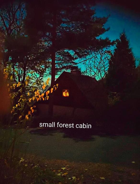 a picture of a small forest cabin at night at Lesní chata Hvězdička in Litoměřice