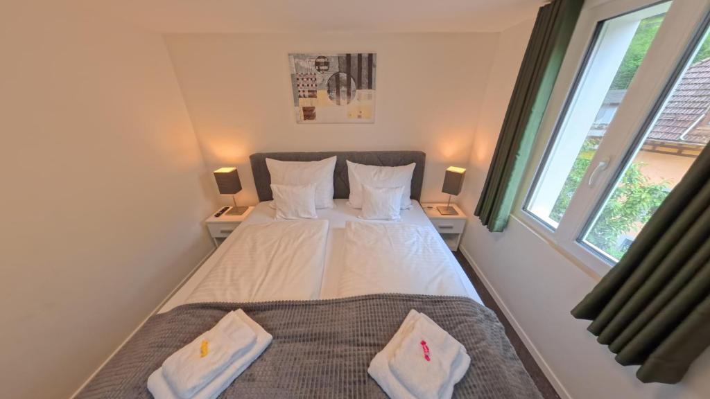Hotel Sternen Gurtnellen AG - 双人房