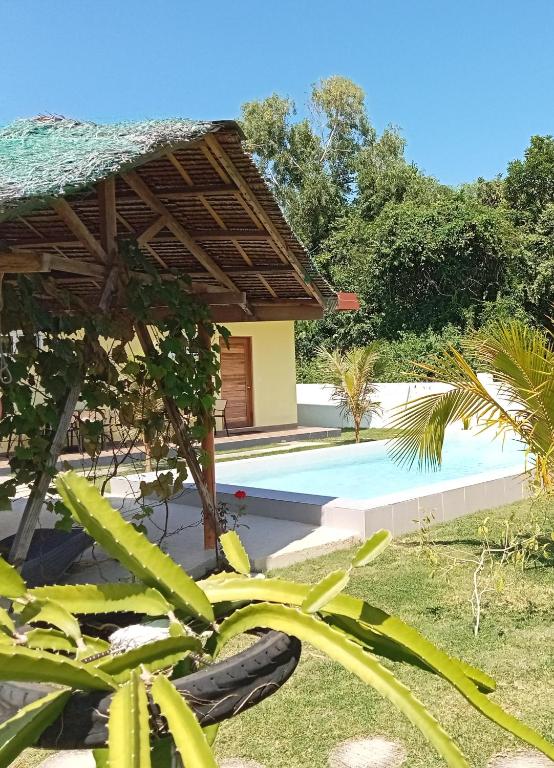 a villa with a pool and a house at Dom's Oase in Panglao Island
