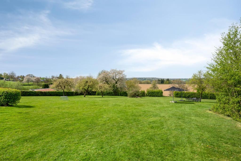 a large grassy field with trees in the background at Ruim sfeervol appartement naast wijndomein in Vijlen, Zuid-Limburg in Vijlen