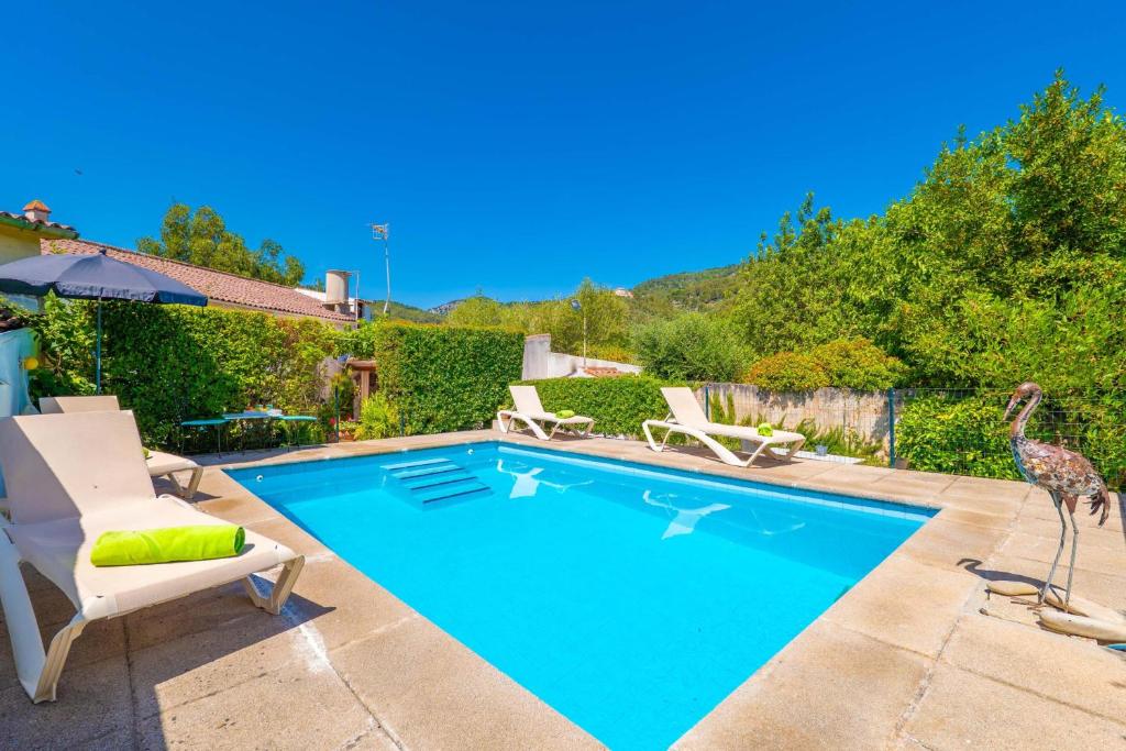 a swimming pool with chairs and a giraffe next to it at Construcciones Balaguer in Mancor del Valle