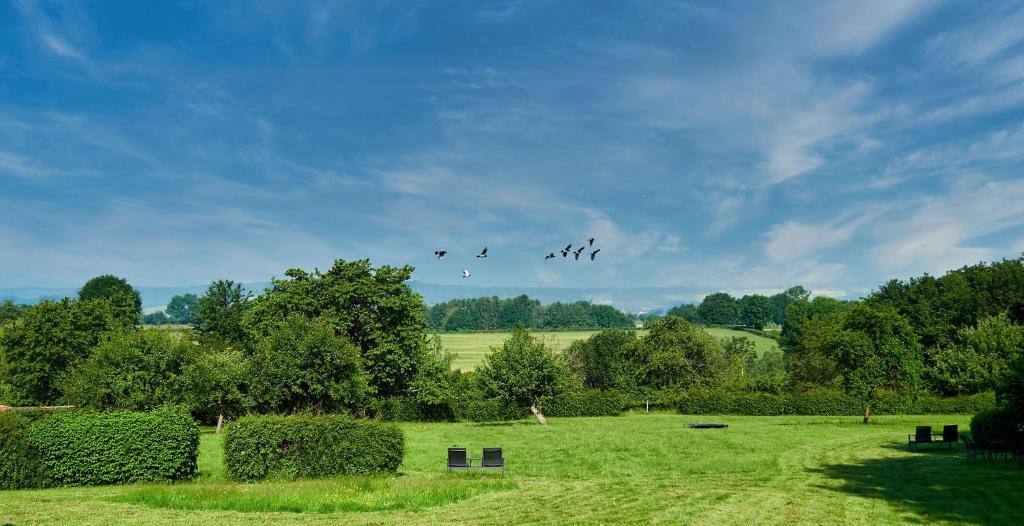 a group of birds flying in the sky over a field at Appartement met panorama-uitzicht op het Geuldal, terras, Vijlen in Vijlen