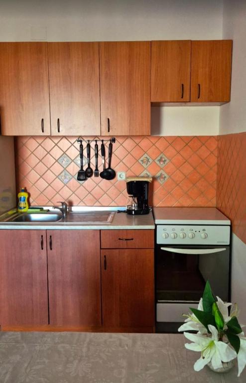 a kitchen with wooden cabinets and a stove and a sink at Villa Andale Suites in Tkon