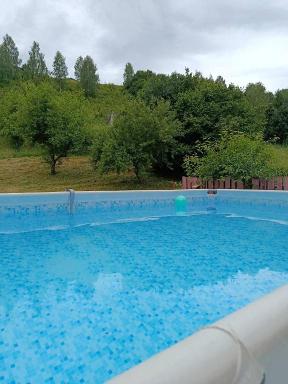 a large blue swimming pool with trees in the background at День і ніч in Slavske