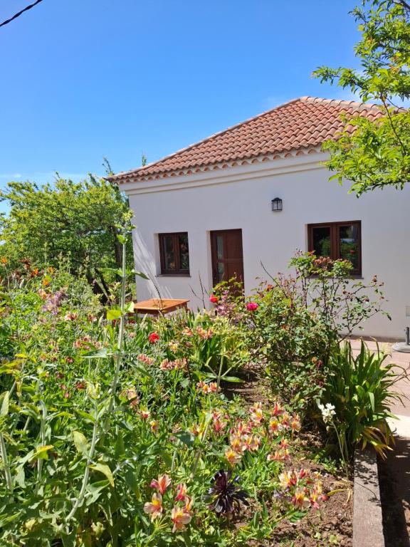 a garden in front of a house with flowers at Casa Fátima Valle Gran Rey in Valle Gran Rey