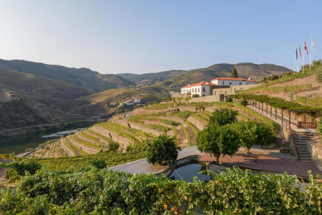 a vineyard on a hill next to a river at Hotel Rural Quinta Do Pego in Tabuaço
