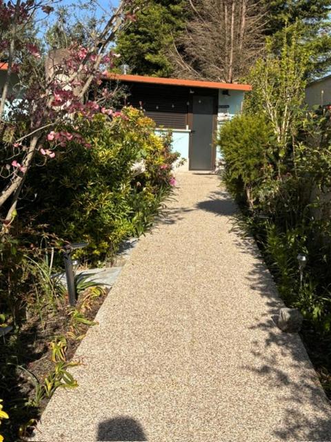 a garden path leading to a building with flowers at SENRa in Marco de Canaveses