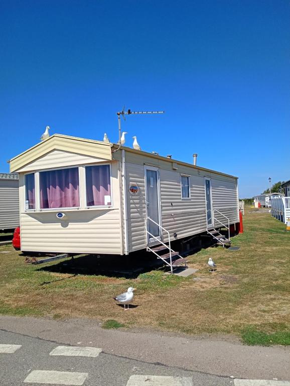 an rv parked on the grass in a field at Arizona Caravan in Camber