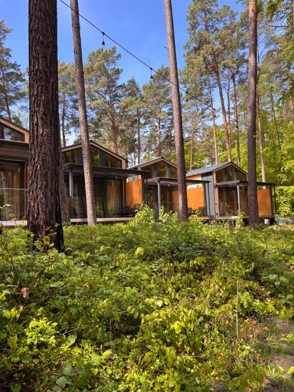 a house in the woods with trees at Perła in Stegna
