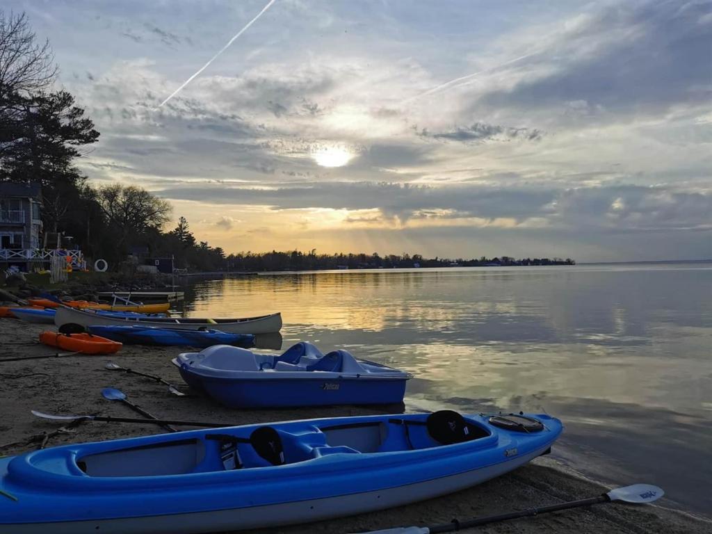 a group of boats on the shore of a lake at Lakefront Cottage Private Beach & & Kayaks in Georgina