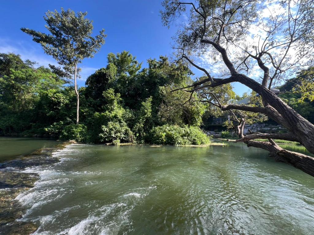 a river with trees on the side of it at เป้แคมป์ปิ้งเขาใหญ่ in Ban Khanong Phra Tai