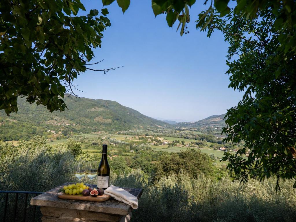 a bottle of wine sitting on a table with a plate of fruit at La Dimora Sulla Collina Micciani Rieti in Micciani