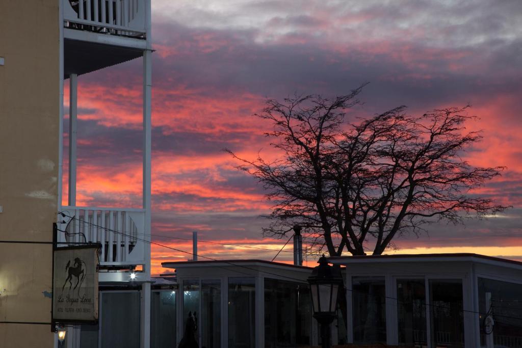 a sunset with a tree in front of a building at Hotel Boutique La Yegua Loca in Punta Arenas