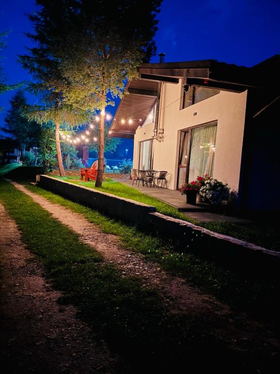 a house with lights on the side of it at night at Котедж RIVERHILL 2-4 осіб in Slavske