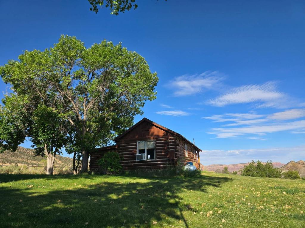 an old cabin in a field with a tree at Pack Creek ~ Trails End in Spanish Valley