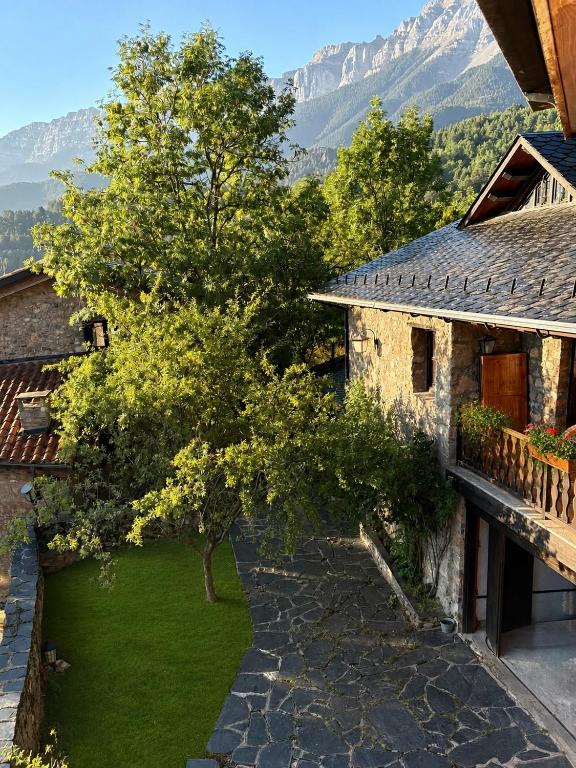a view of a yard with a tree and a house at Cal Ferrer del Querforadat in Cava