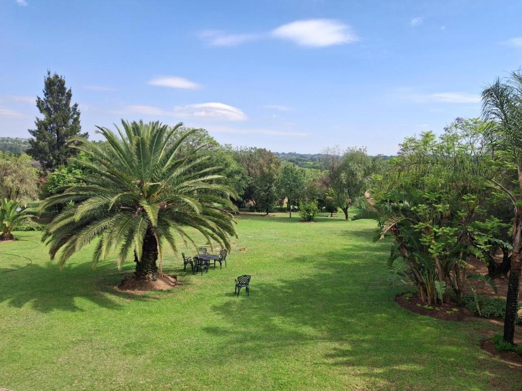 a park with a palm tree and benches in the grass at Serene Pastures in Midrand