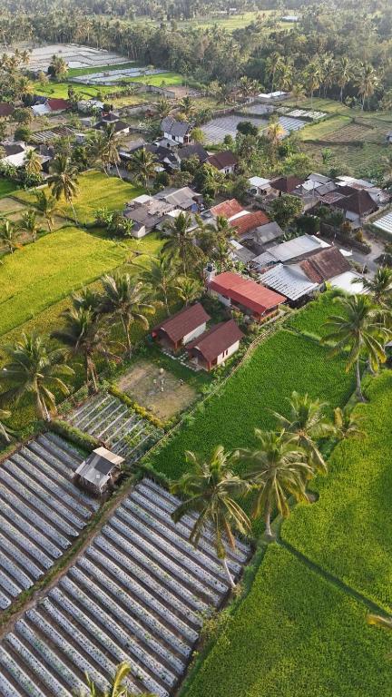 an aerial view of a village with palm trees and houses at Eleen Bungalow in Tetebatu