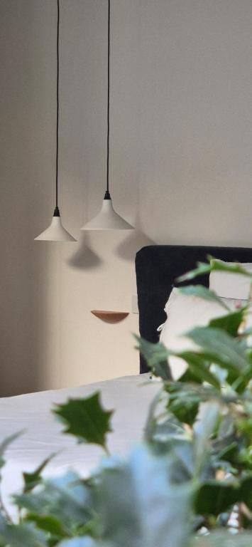 two lights hanging above a table with a plant at EVERELMUS Boutique Hotel in Bruges
