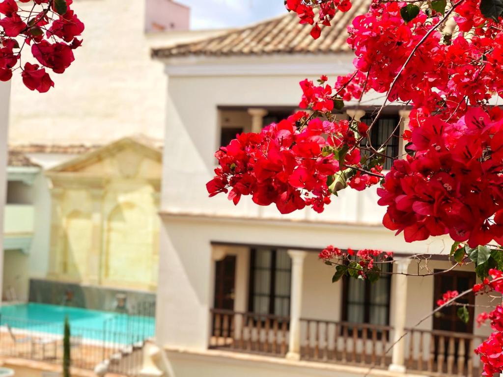a bunch of red flowers in front of a building at Las Casas de la Judería de Córdoba in Córdoba