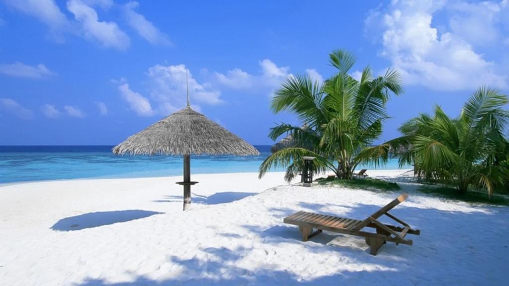 a beach with a bench and an umbrella and palm trees at Porcelanico Home in Ofrínion
