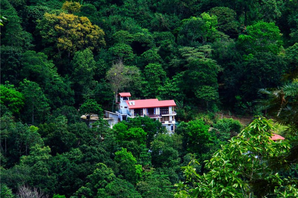 une maison au milieu d'une forêt dans l'établissement The Springfields Kandy Previously Madara Residence Kandy, à Kandy