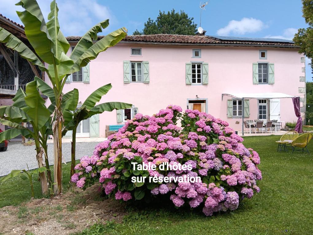 a pink house with a large bush of pink flowers at La salamandre de l'escat chambres et table d'hôtes in Montastruc-de-Salies
