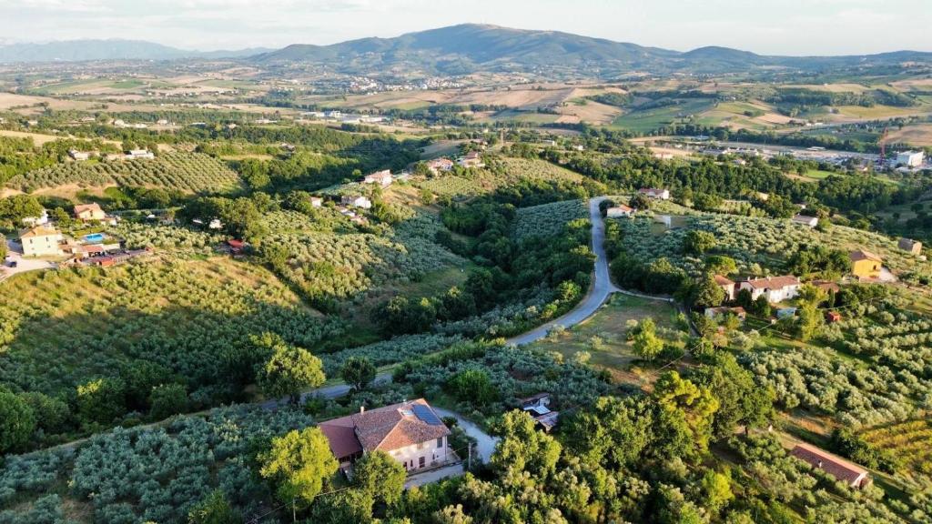 an aerial view of a vineyard with a house and trees at Locazione Turistica Spaccarotella Vista su Gualdo Cattaneo in Gualdo Cattaneo