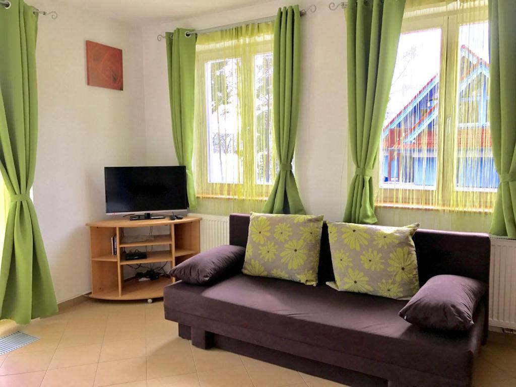 ein Wohnzimmer mit einem Sofa und einem TV in der Unterkunft Apart Riviera Lipno J4-12 in Lipno nad Vltavou