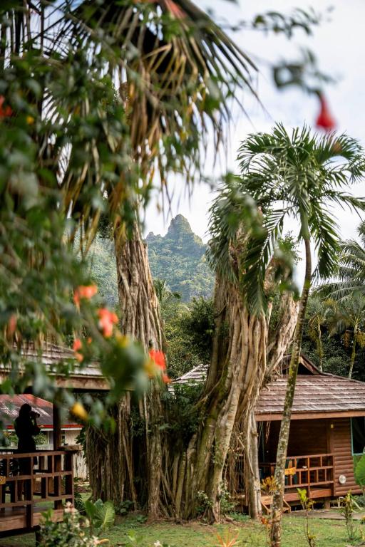 Eco Lodge Village Temanoha - photo 9 - Moorea, Polynésie